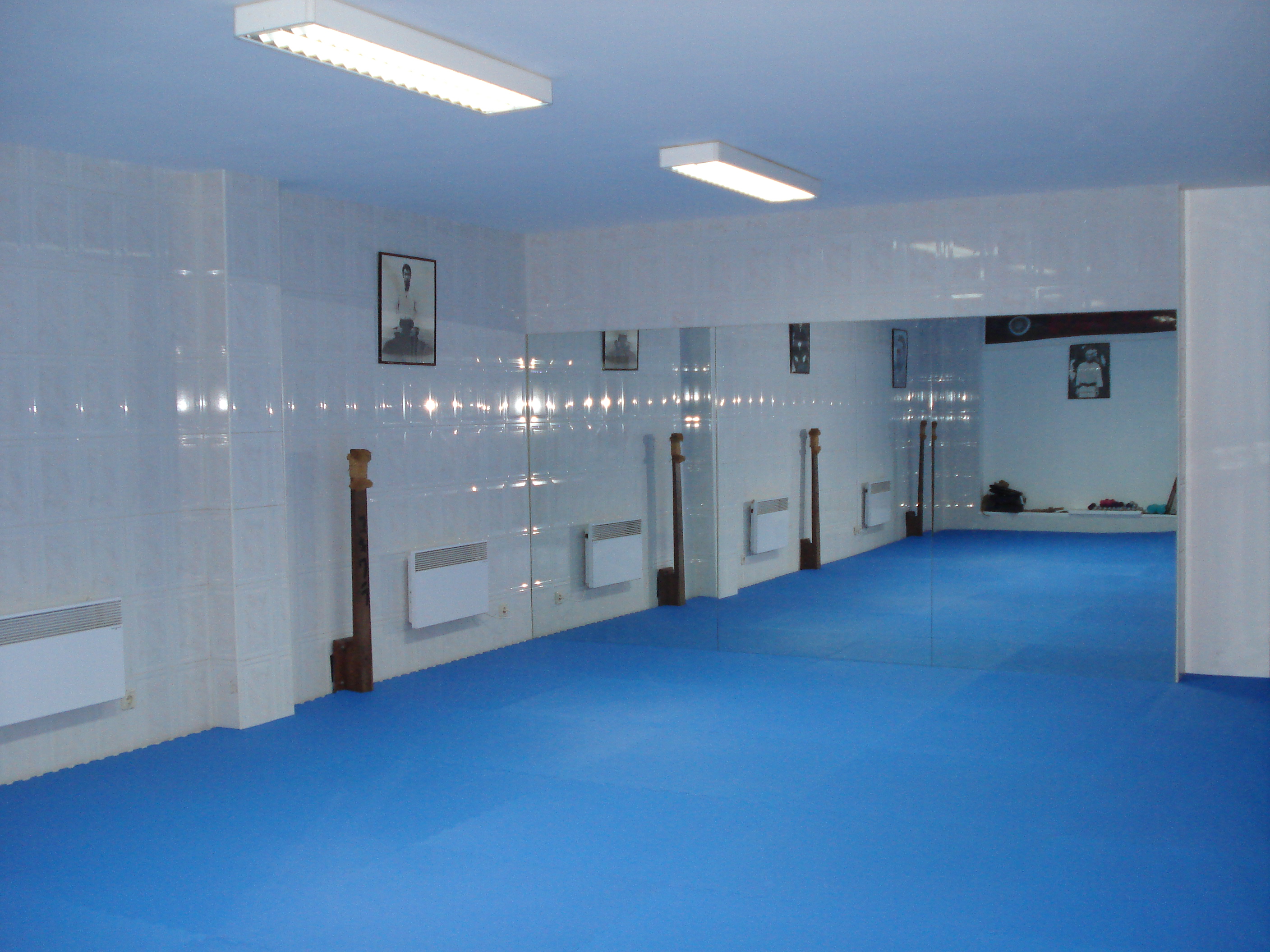 Dojo 1